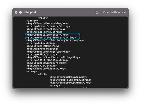 ipa bundle identifier.